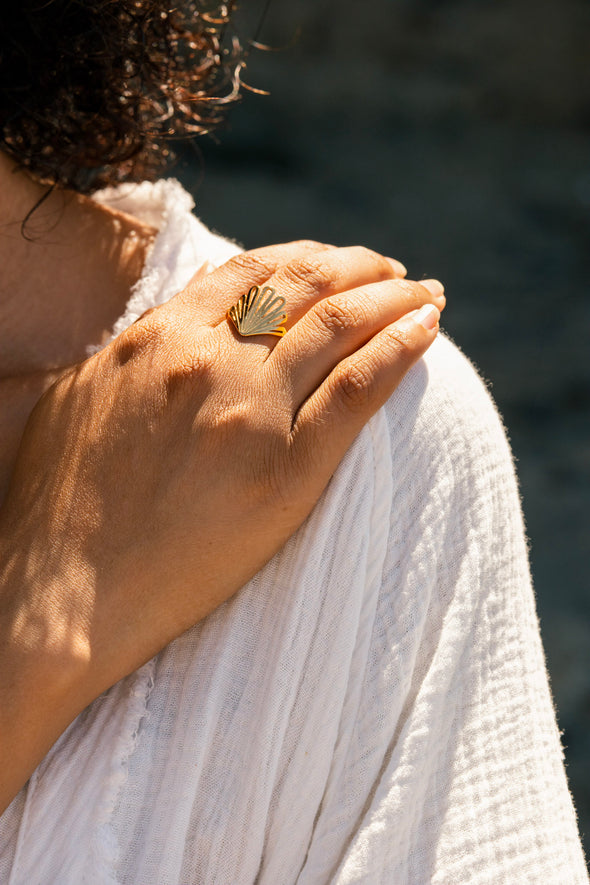 Sebastian Ring