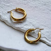 Quinn Hoops