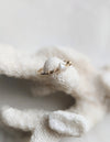 The Daydream Ring